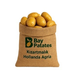 Hollanda Patatesi Hakkında Her Şey
