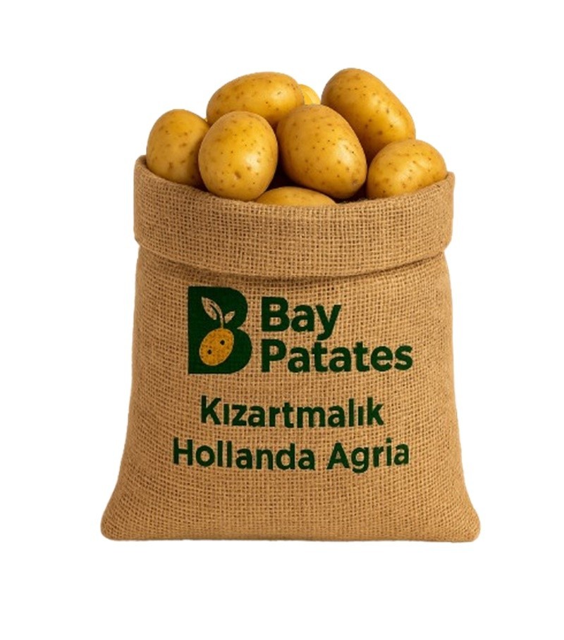 Hollanda Patates (Taze)